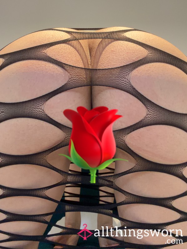 Views From Behind 🍑💦