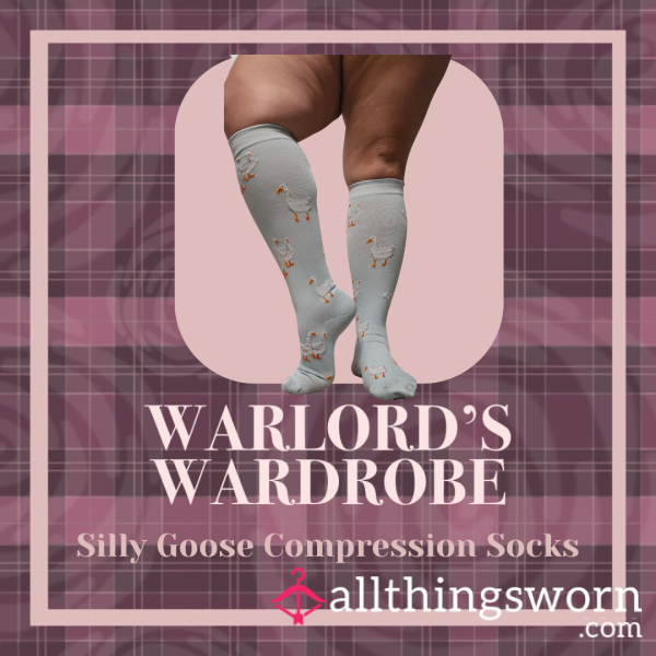 Warlord's Wardrobe: Silly Goose Compression Socks