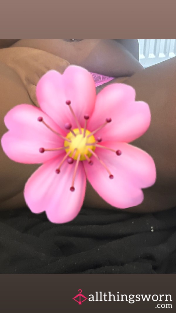 Watch Me Play With My Pretty Pink Puss