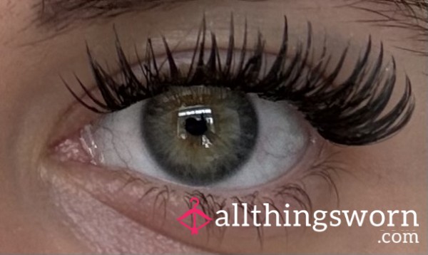 Week Old Lashes
