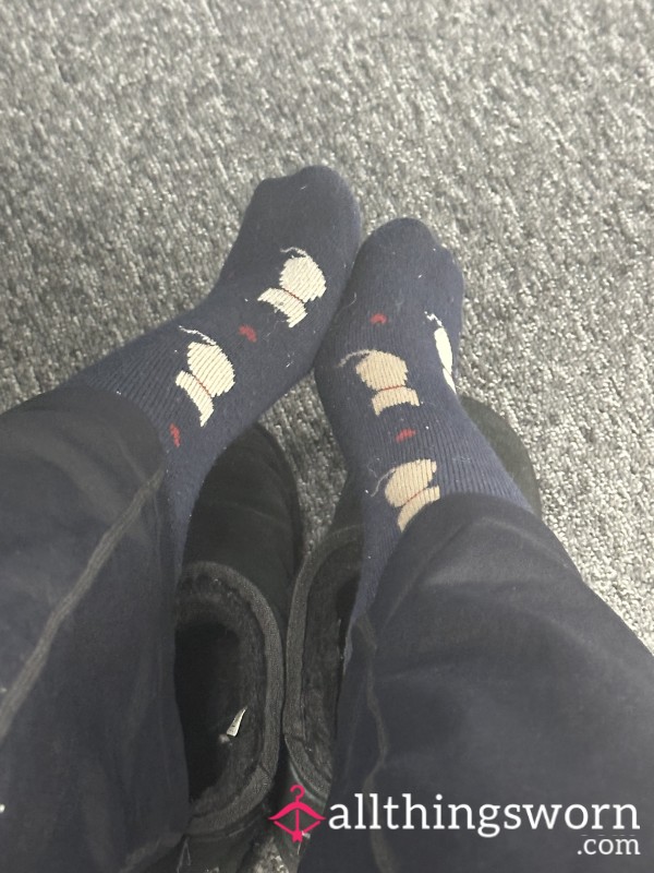 Week Worn Work Socks