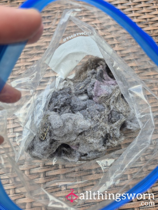 Weeks Worth Of Dryer Fluff Lint