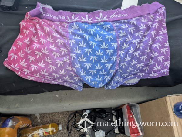 Well Loved Cavaillia Boxers (purple & Pink)
