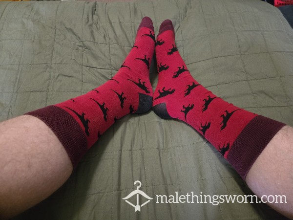 Well Loved Dinosaur Socks