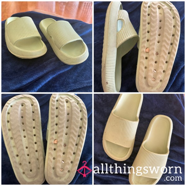 WELL Loved Green SLIDES