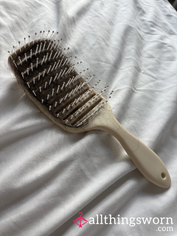 Well Loved Hair Brush, Full Of My Long Dark Hair