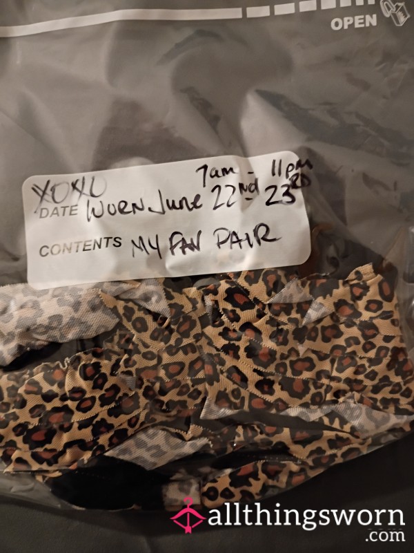 Well-Loved Leopard Print Cheeky Briefs – 2-Day Wear (Cooking &Cleaning)