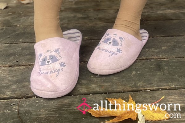 Well-Loved Pink Slippers