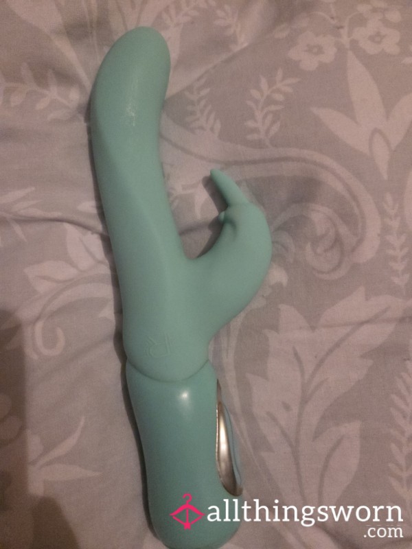 Well Loved Rabbit