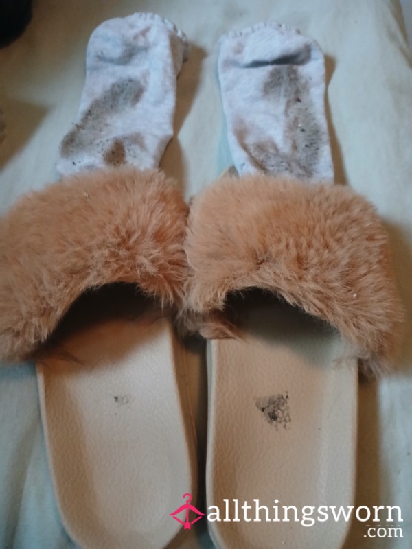 Well Loved Slidders