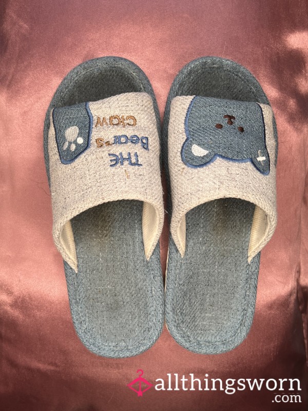 Well Loved Slippers