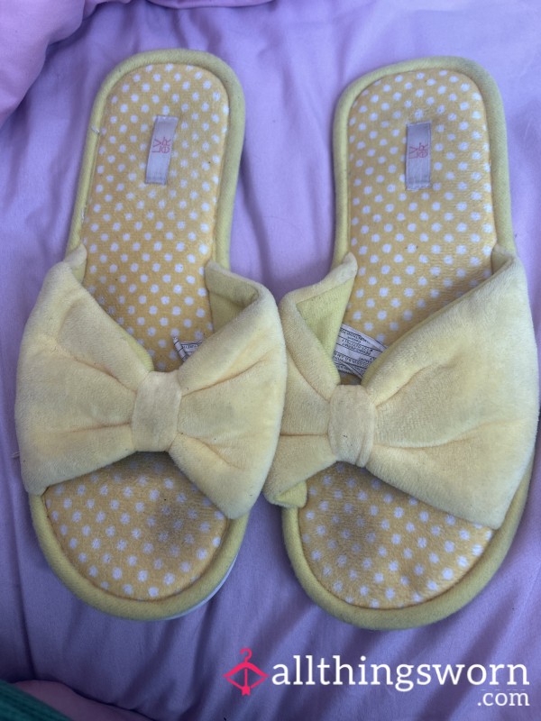Well Loved Slippers