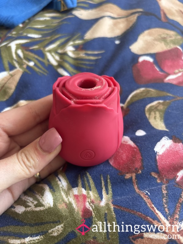 Well Loved & Used Rose🌹