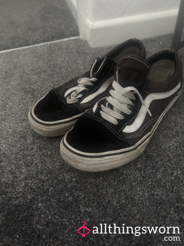 Well Loved Vans