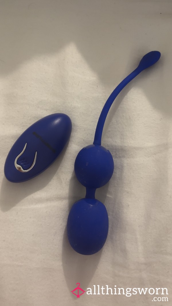 Well Loved Vibrating Egg & Remote