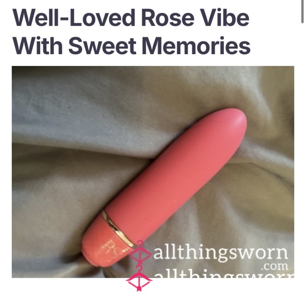 Well Loved Vibrator Toy