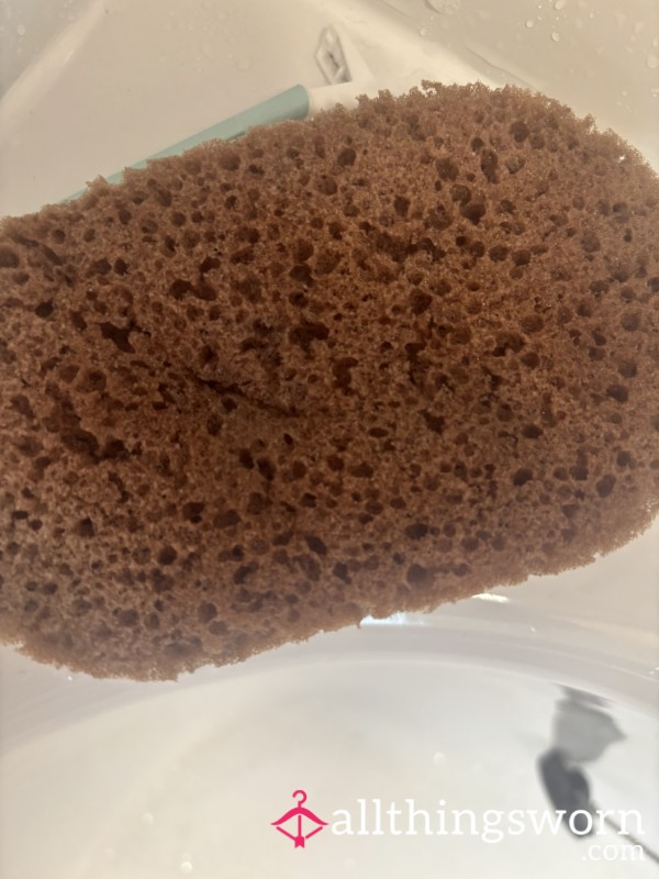 Well Used Bath Sponge
