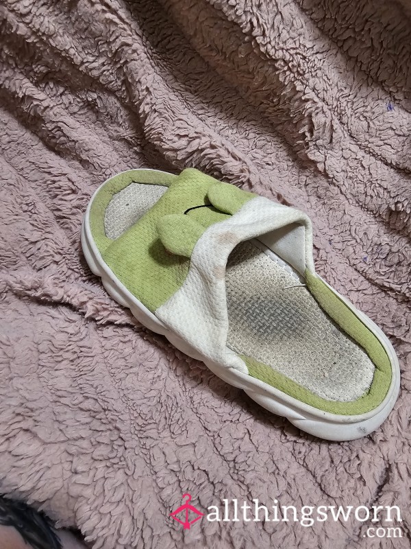 Well Used Cheap A** Slippers Made Priceless By A Goddess.