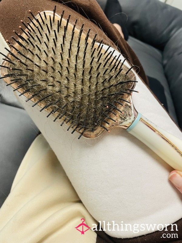 Well Used Hair Brush
