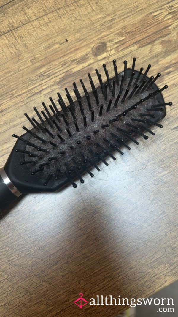 Well Used Hair Brush Full Off Hair