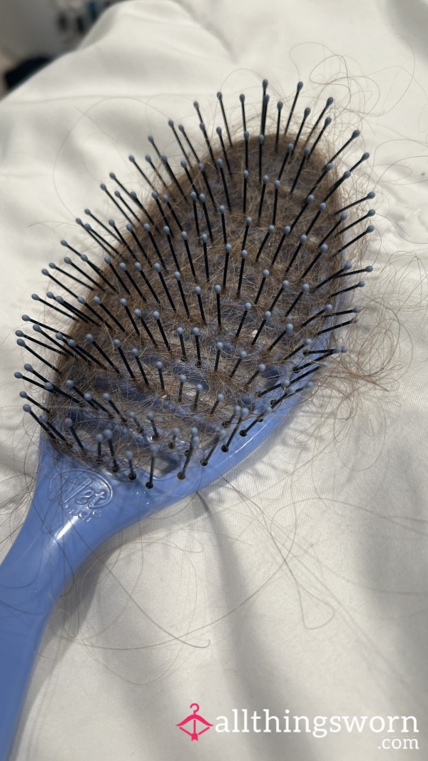 Well Used Hairbrush