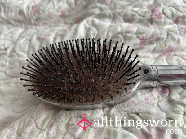 Well Used Hairbrush With Hair