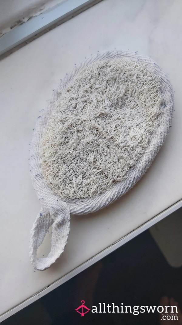 Well Used Little Loofa