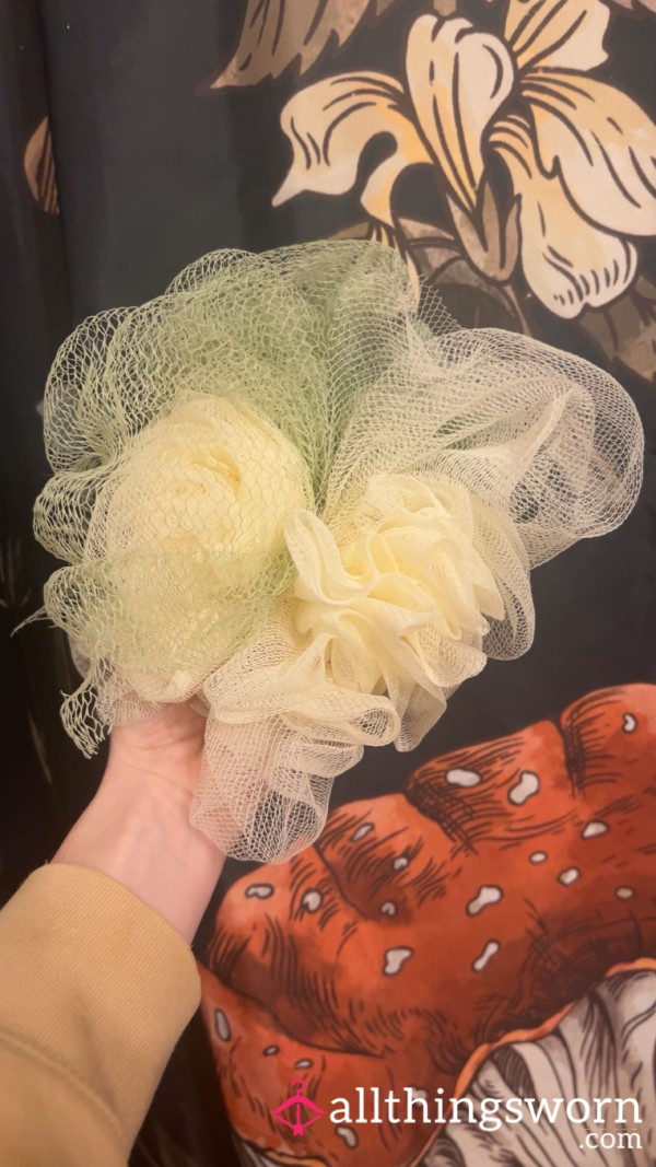 Well Used Loofah