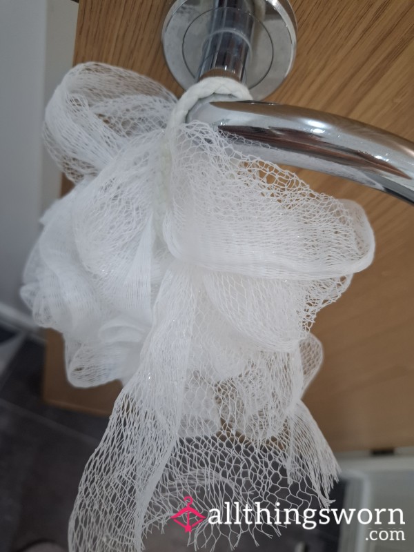 Well Used Loofah Sponge