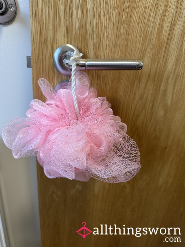 Well Used Loofah