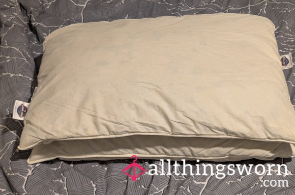 🛌🩵Well-Used & Loved  Down Feather Pillows (Hotel-Quality) - Set Of 2 🛌🩵