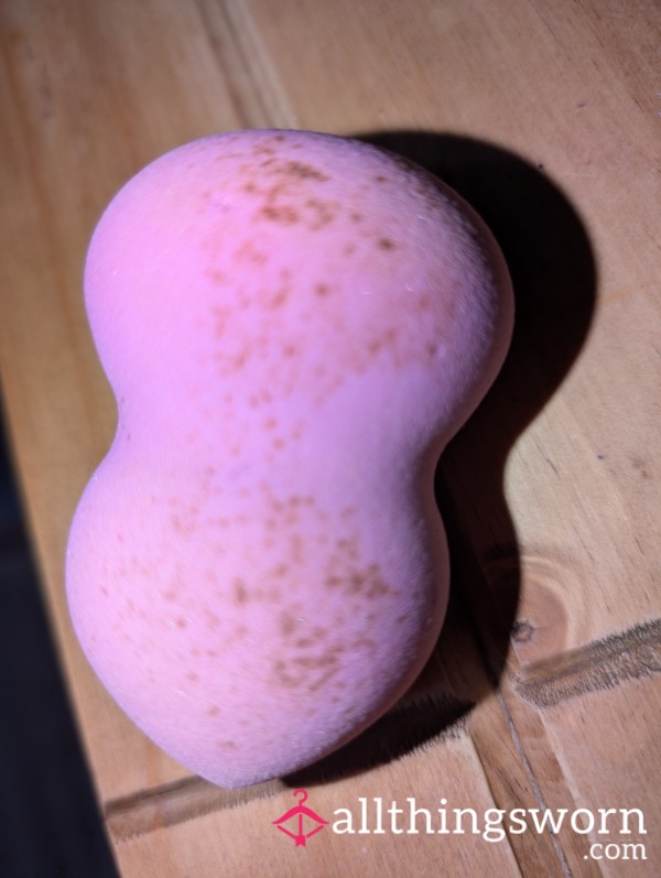Well Used Make Up Sponge