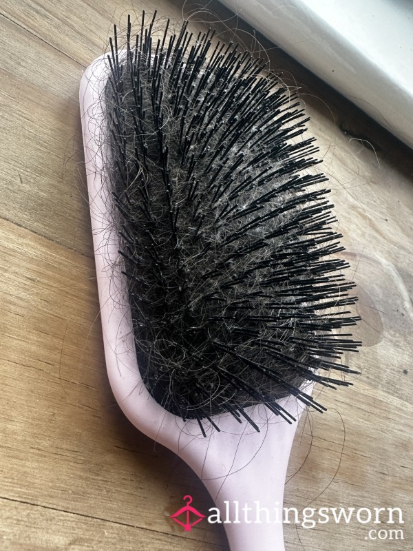 Well Used Paddle Brush!