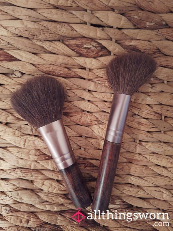 Well-used Powder And Blush Brush💋