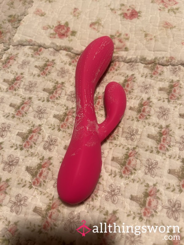 Well Used Rabbit