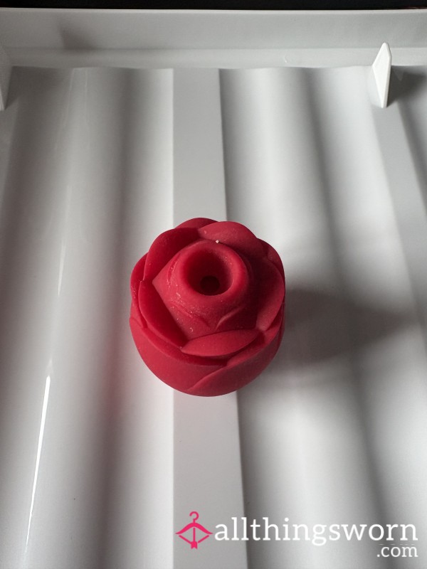 Well Used Rose