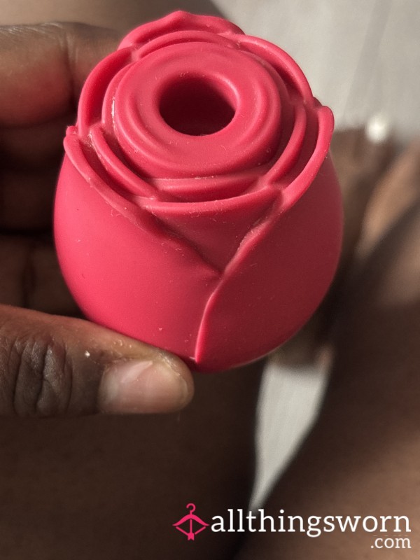 Well Used Rose Toy