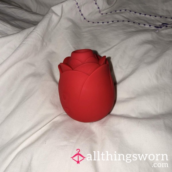 Well Used Rose Toy!