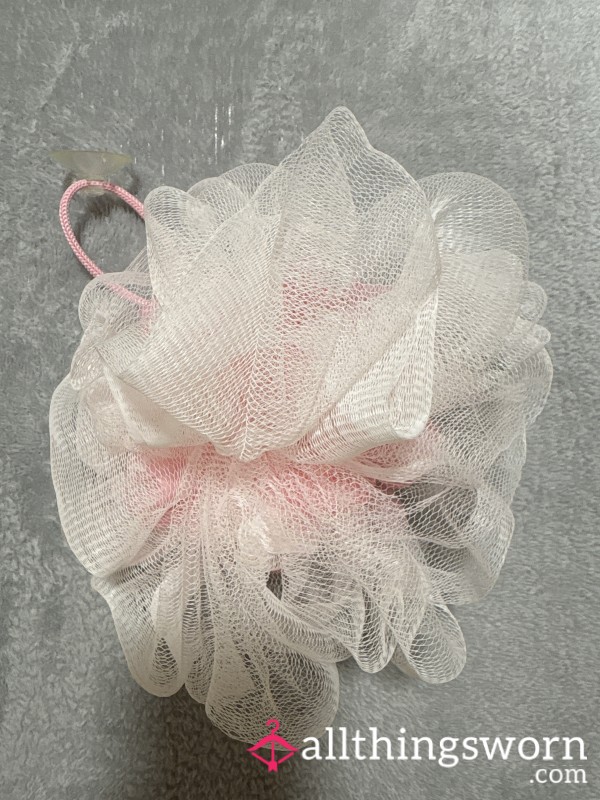 Well Used Shower Loofa