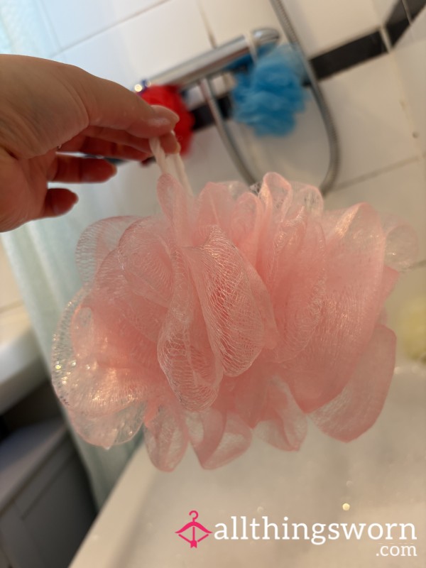 Well Used Shower Loofa