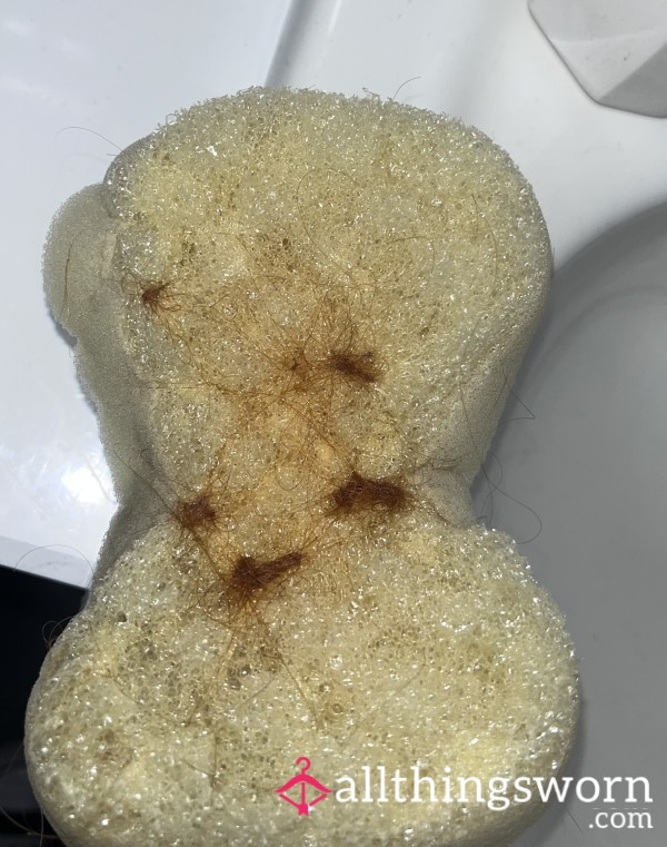 Well Used Shower Sponge