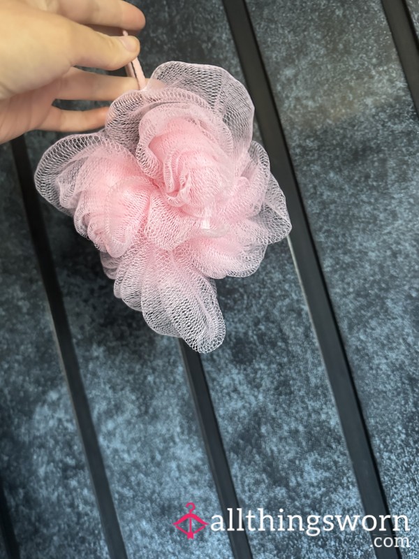 Well Used Sponge