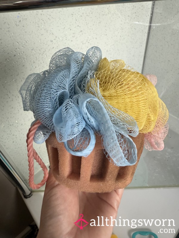Well-Used Sponge And Loofah Very Dirty