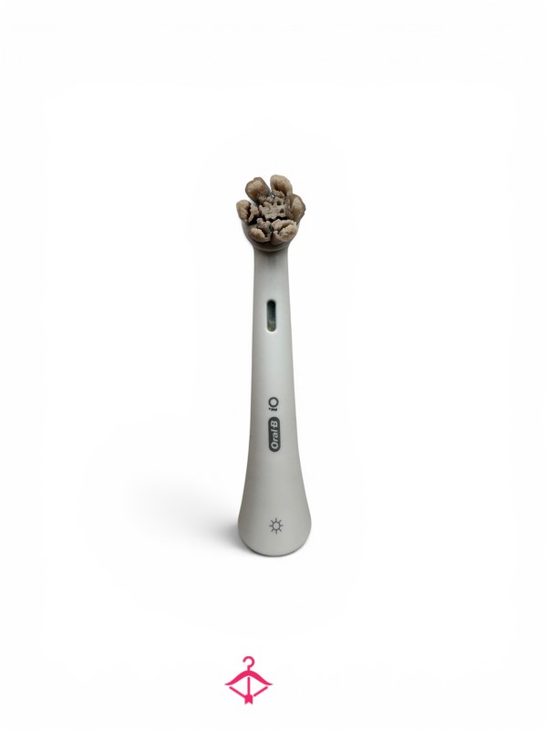 Well Used Tooth Brush Head