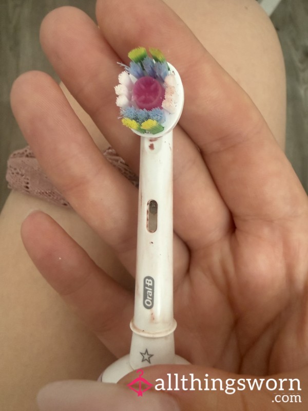 Well Used Tooth Brush Head