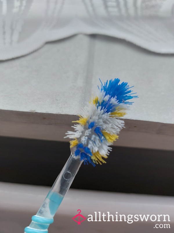 Well Used Toothbrush