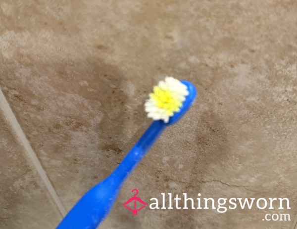 Well Used Toothbrush