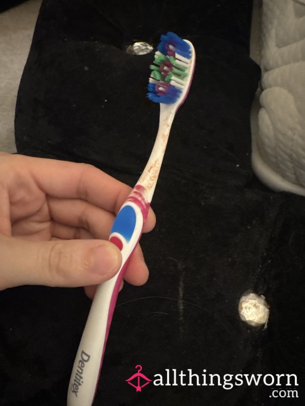 Well Used Toothbrush