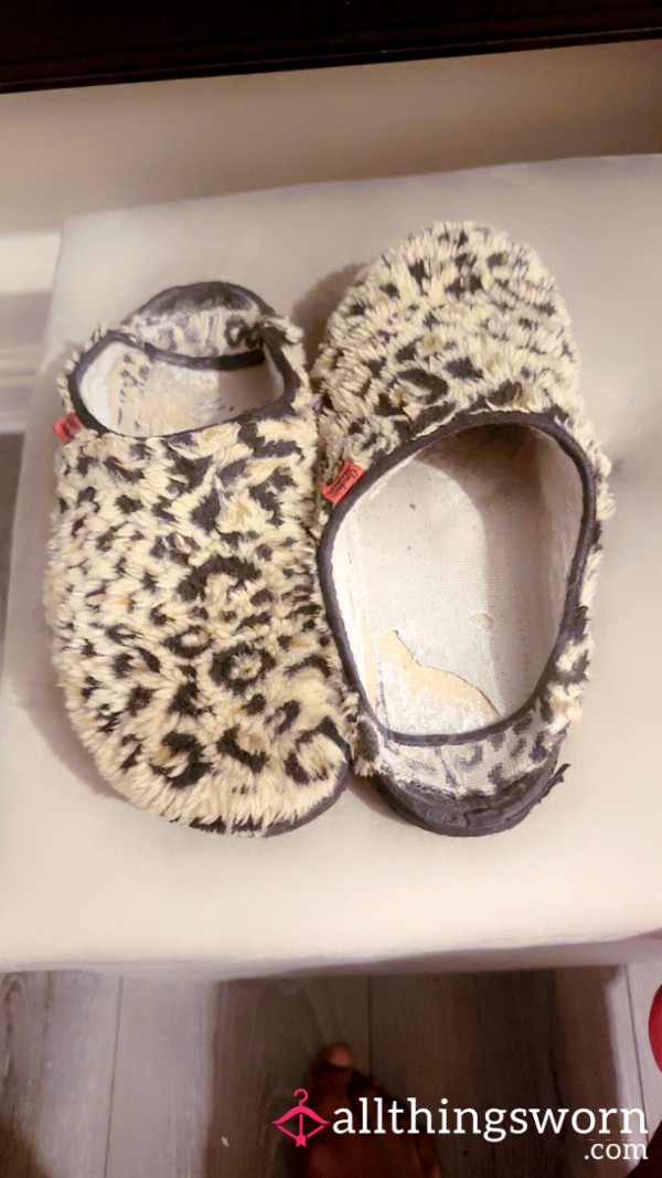 Well-worn And Looking For A Home