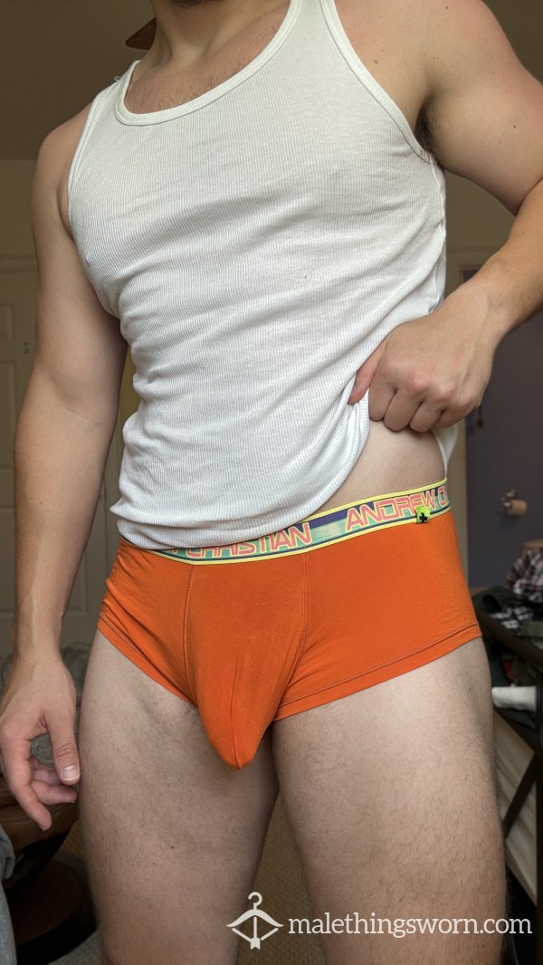 Well Worn Andrew Christian Briefs